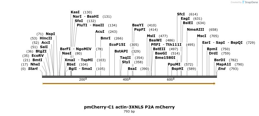 101143_map