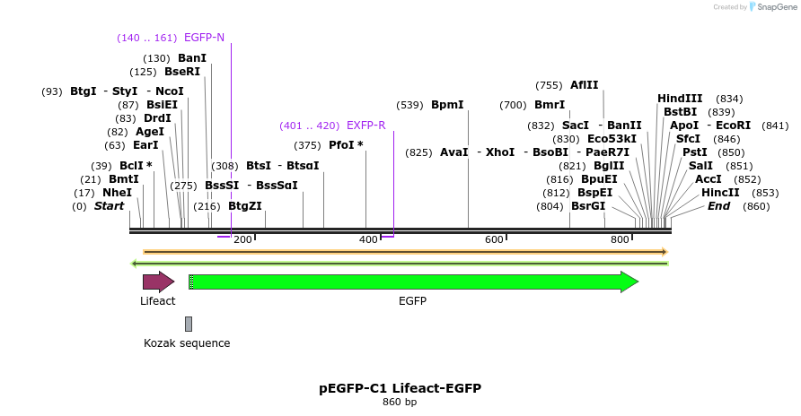 101147_map