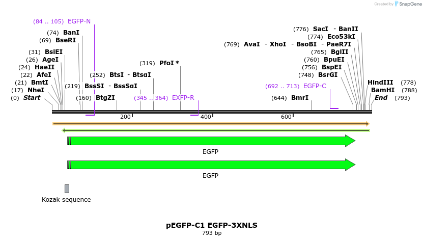 101149_map