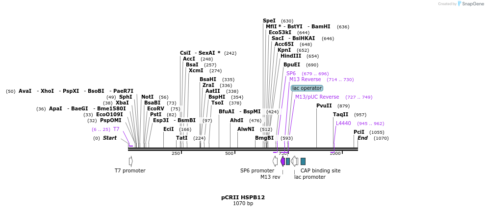 101152_map