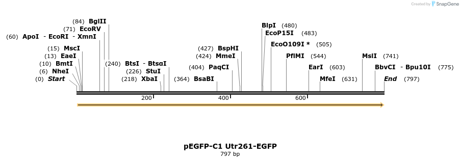 101160_map