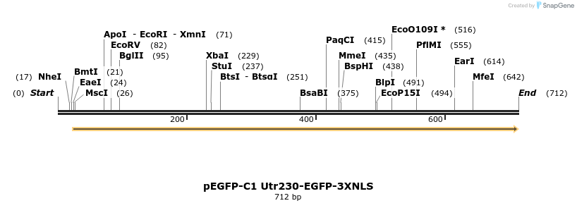 101163_map