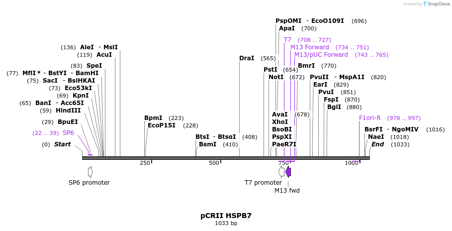 101164_map