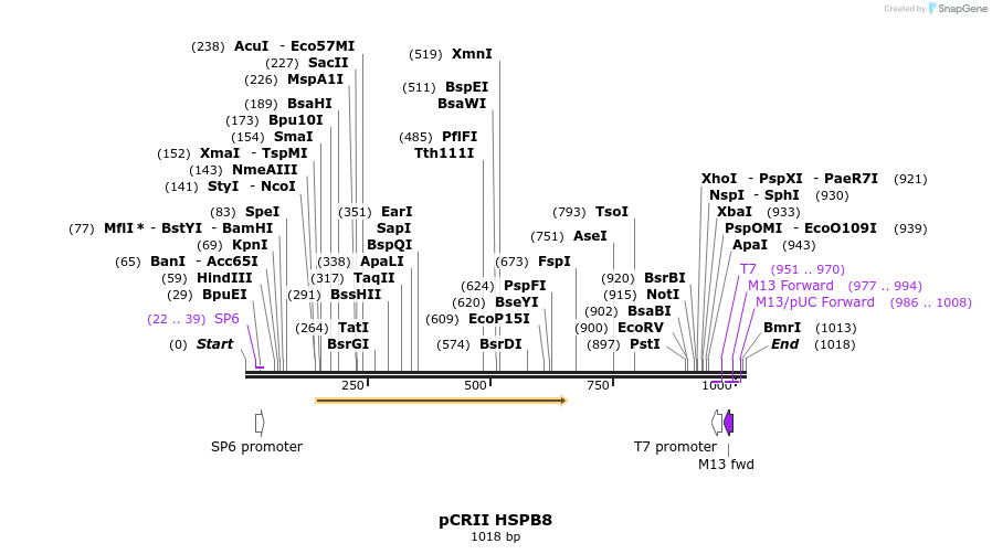 101168_map
