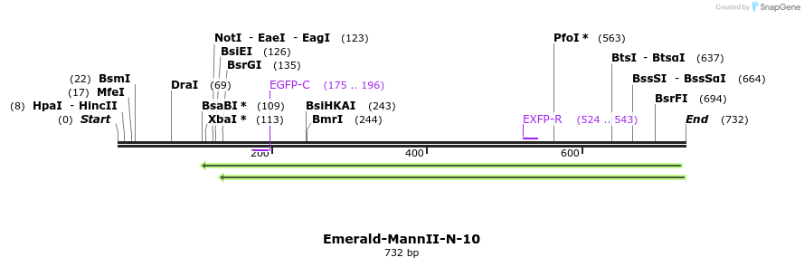 101170_map