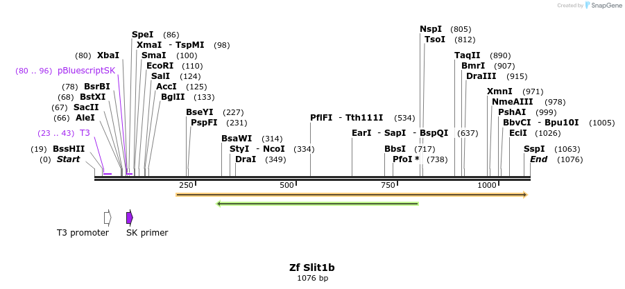 101171_map