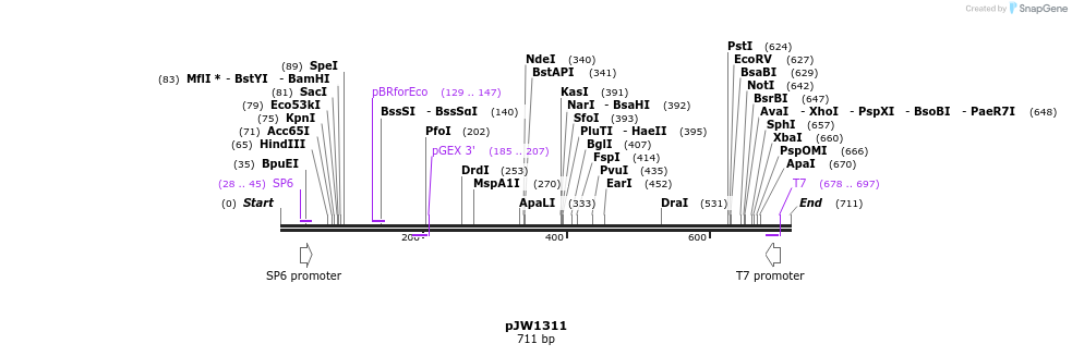101177_map