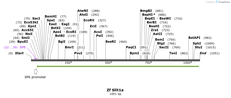 101179_map