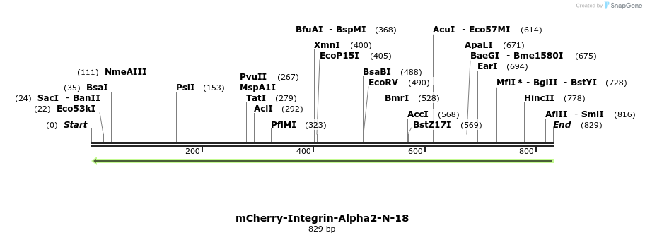 101205_map