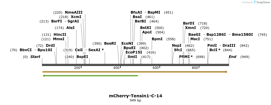 101207_map