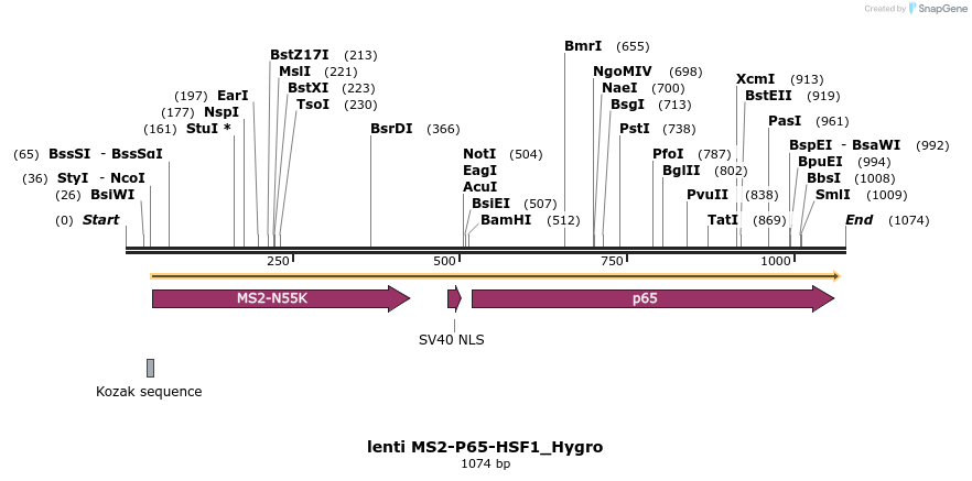 101214_map
