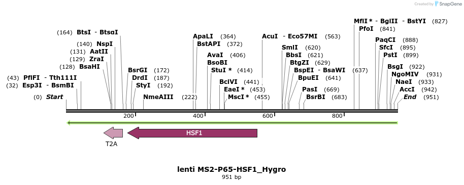 101216_map