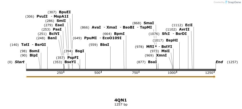 101224_map