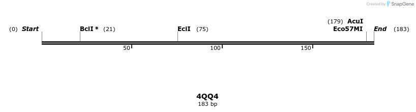 101229_map