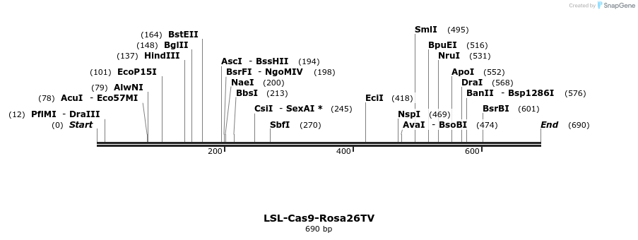 101235_map