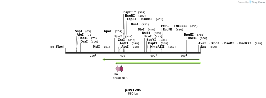 101236_map