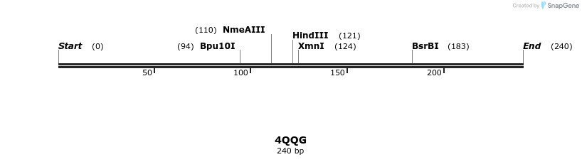 101238_map