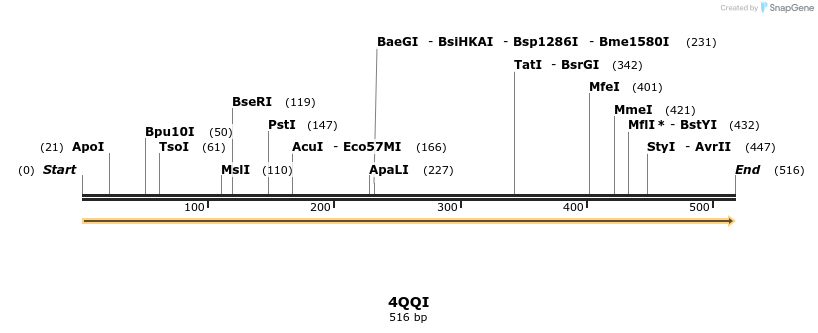 101239_map