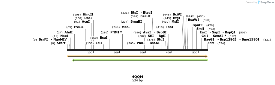 101241_map