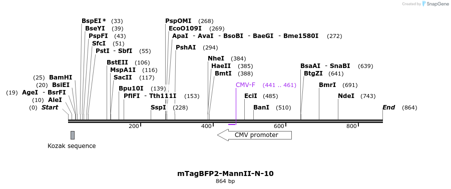 101242_map