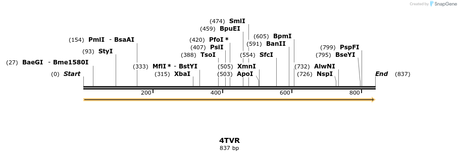 101244_map