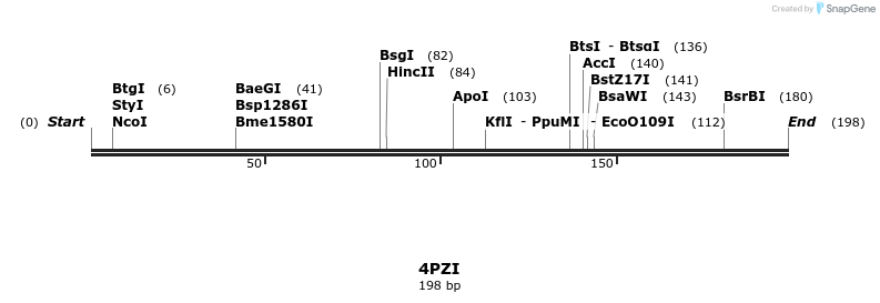 101246_map