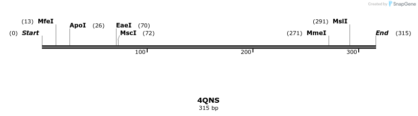 101248_map
