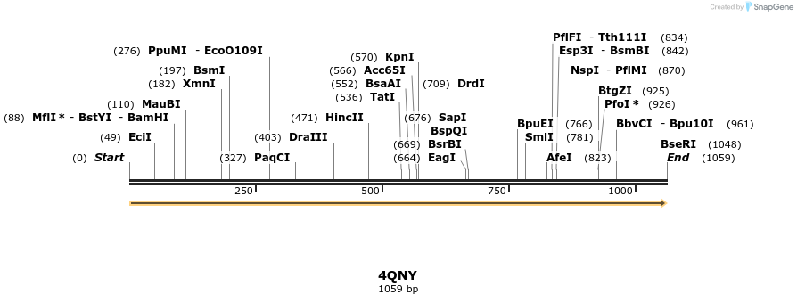 101249_map