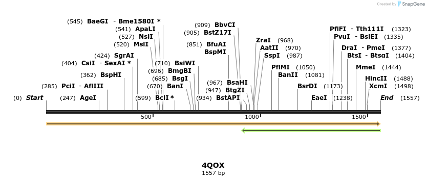 101251_map