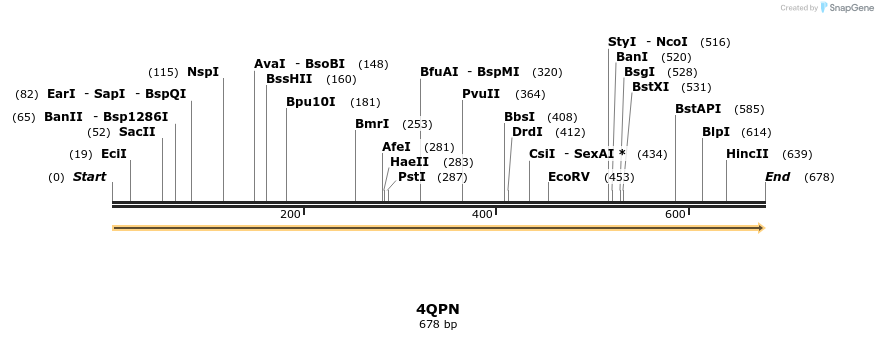 101252_map