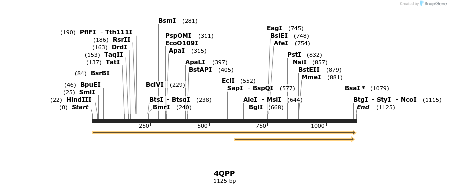 101253_map