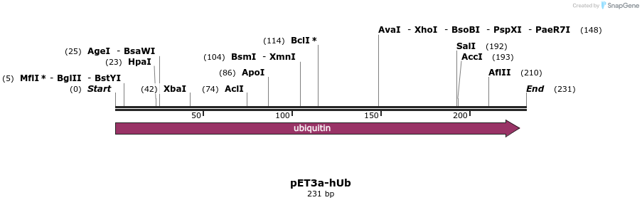 101258_map