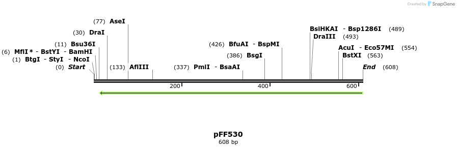 101259_map