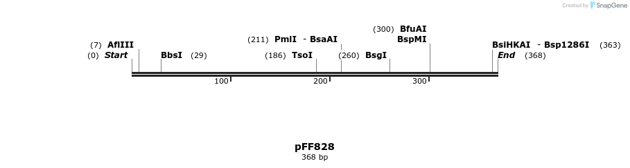 101262_map
