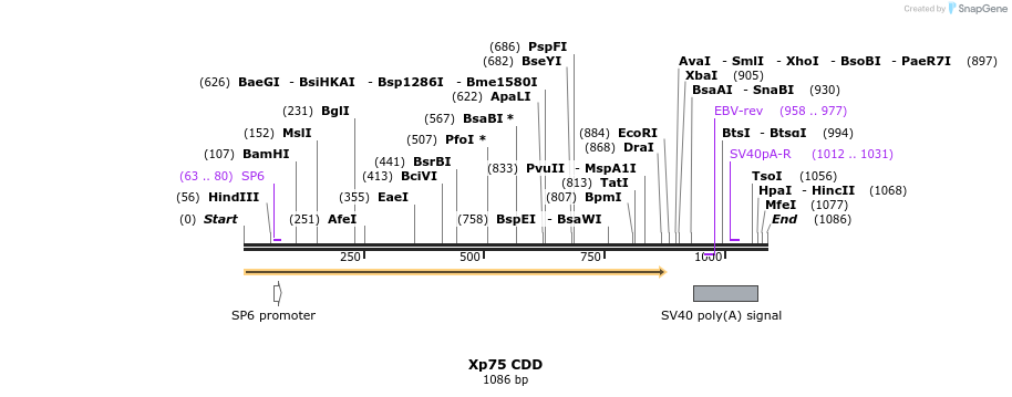 101272_map