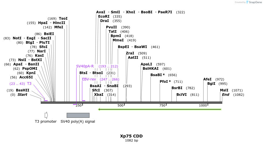 101273_map