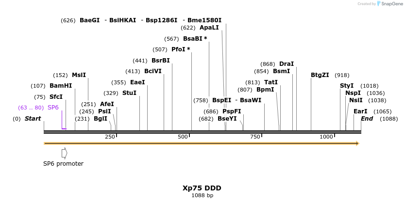 101274_map