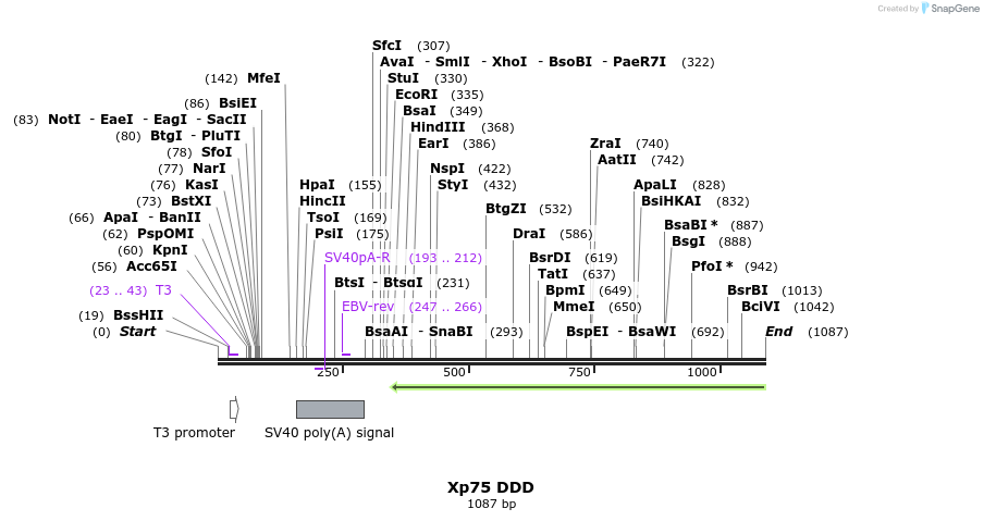 101276_map