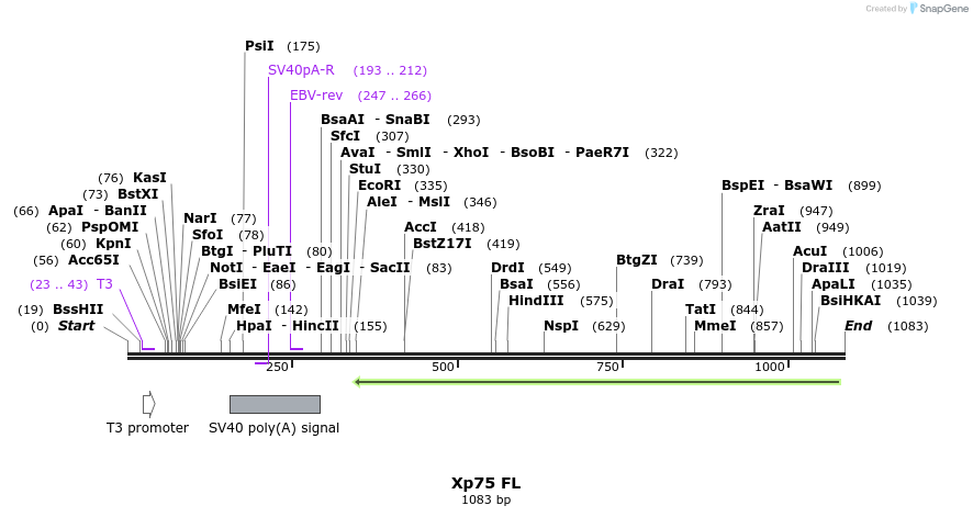 101277_map