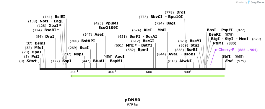 101279_map