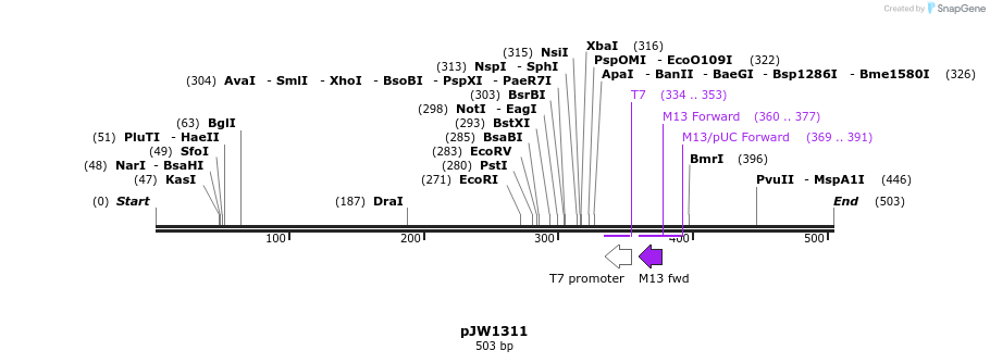 101292_map