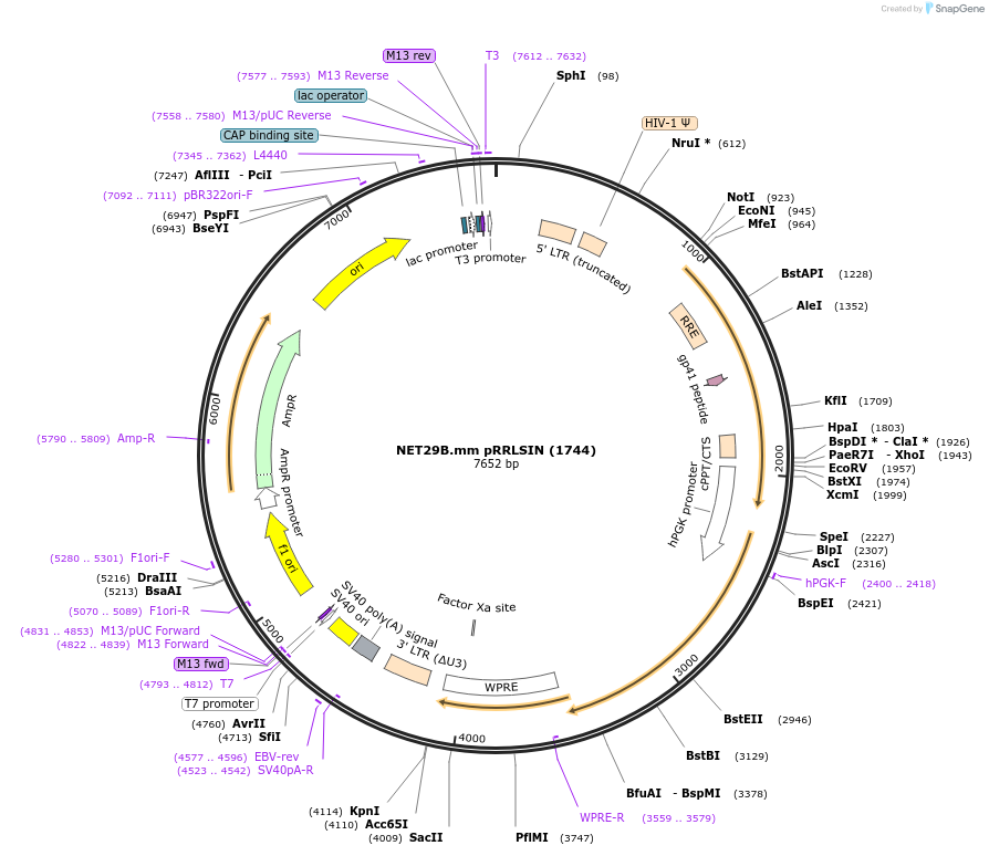 101297_map