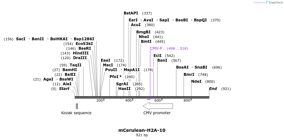 101304_map