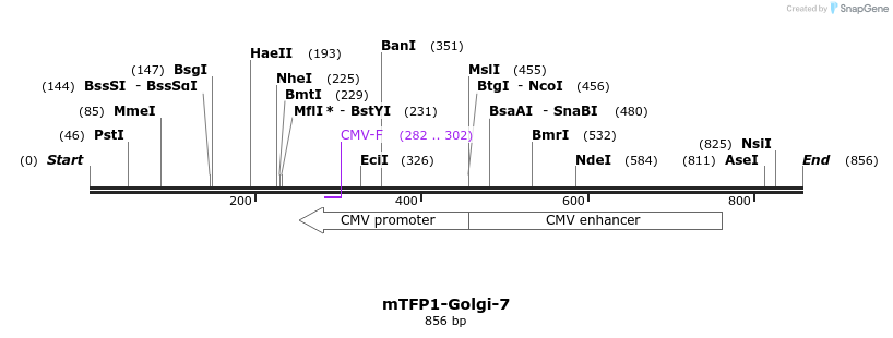 101306_map