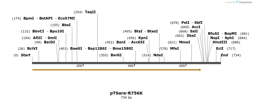101309_map