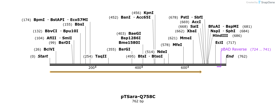 101311_map