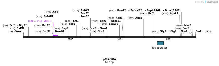 101329_map