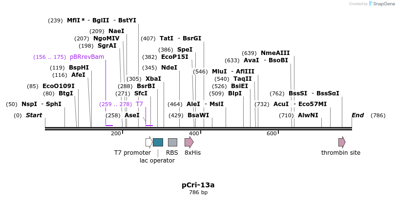101334_map