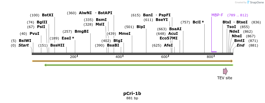 101337_map