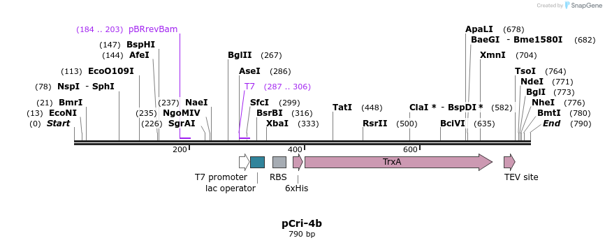 101338_map